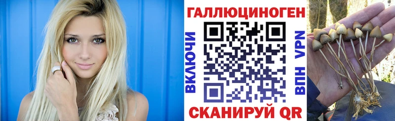 hydra вход  shop формула  Псилоцибиновые грибы прущие грибы  Гаврилов-Ям 